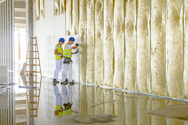 Best Blown-in Insulation  in Bigfoot, TX